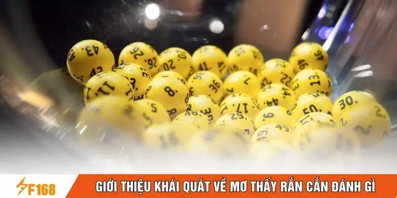 Giới thiệu khái quát về mơ thấy rắn cắn đánh gì 